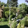 Engel (stehend)
